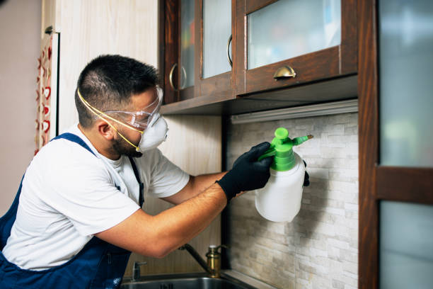 Best Flea Control Services  in Radium Springs, NM