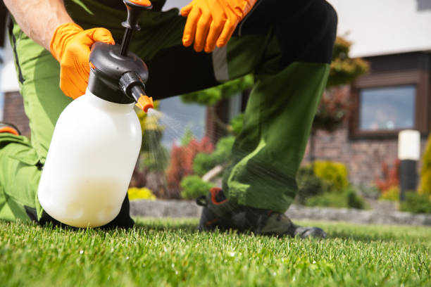 Best Exterminator Services  in Radium Springs, NM