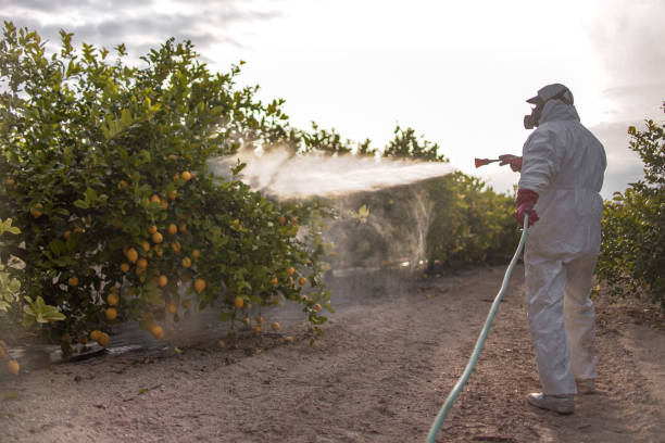 Wildlife Control Services in Radium Springs, NM