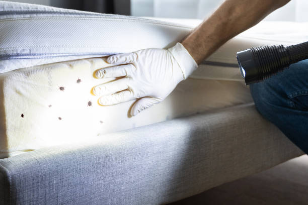 Best Commercial Pest Control Services  in Radium Springs, NM