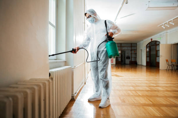 Best Best Pest Control Companies  in Radium Springs, NM